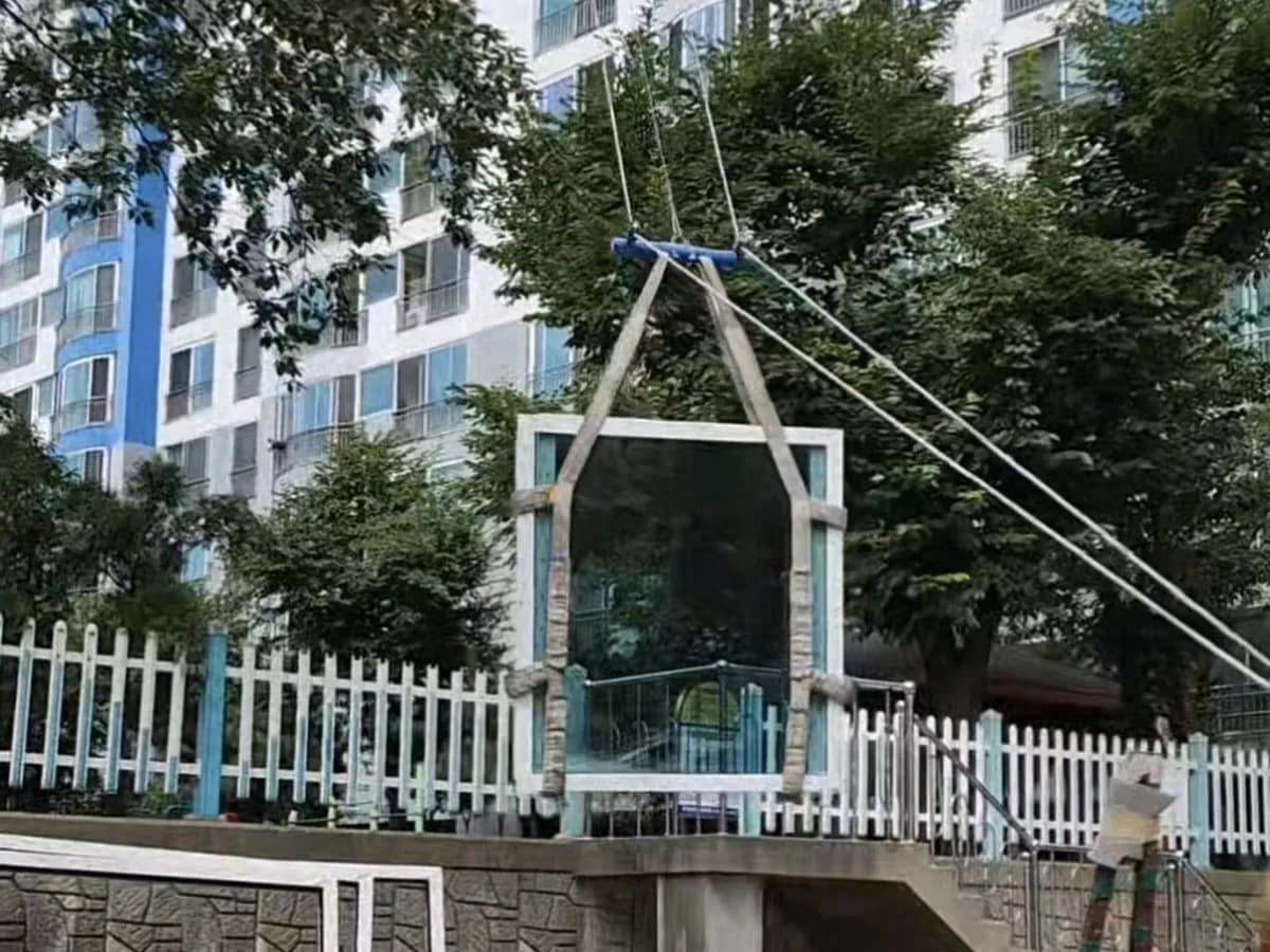울타리와 나무 위로 줄에 매달려 올라가는 베란다 유리창